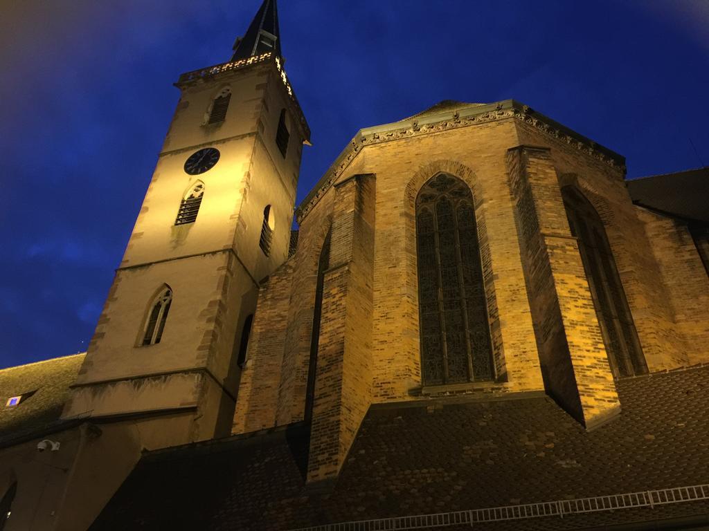 La Cour Des Cordonniers, Centre Cathedrale Petite France Apartman Strasbourg Kültér fotó