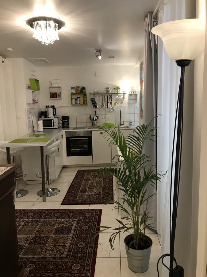 La Cour Des Cordonniers, Centre Cathedrale Petite France Apartman Strasbourg Kültér fotó