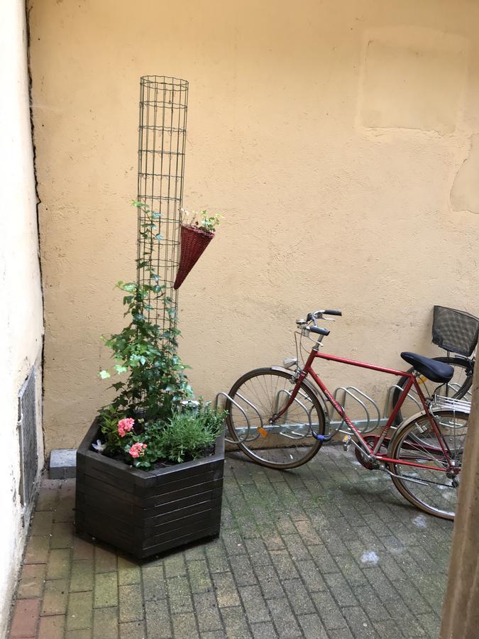 La Cour Des Cordonniers, Centre Cathedrale Petite France Apartman Strasbourg Kültér fotó